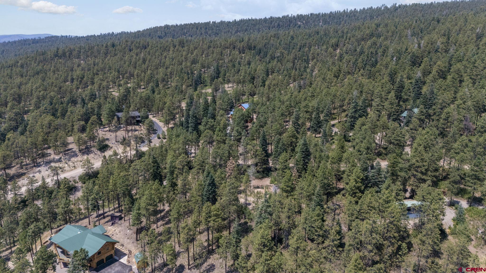 150 Pine Ridge Drive Bayfield, CO 81122 - Photo 5 of 27 a view of a forest with a street