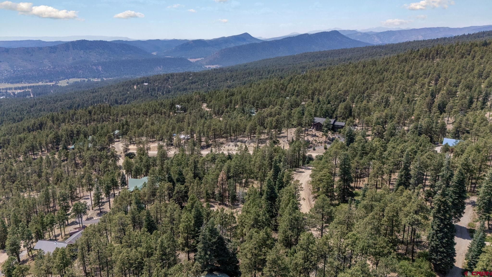 150 Pine Ridge Drive Bayfield, CO 81122 - Photo 6 of 27 a view of a lush green hillside and a houses