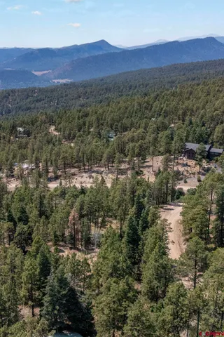 a view of a house with a mountain and a forest