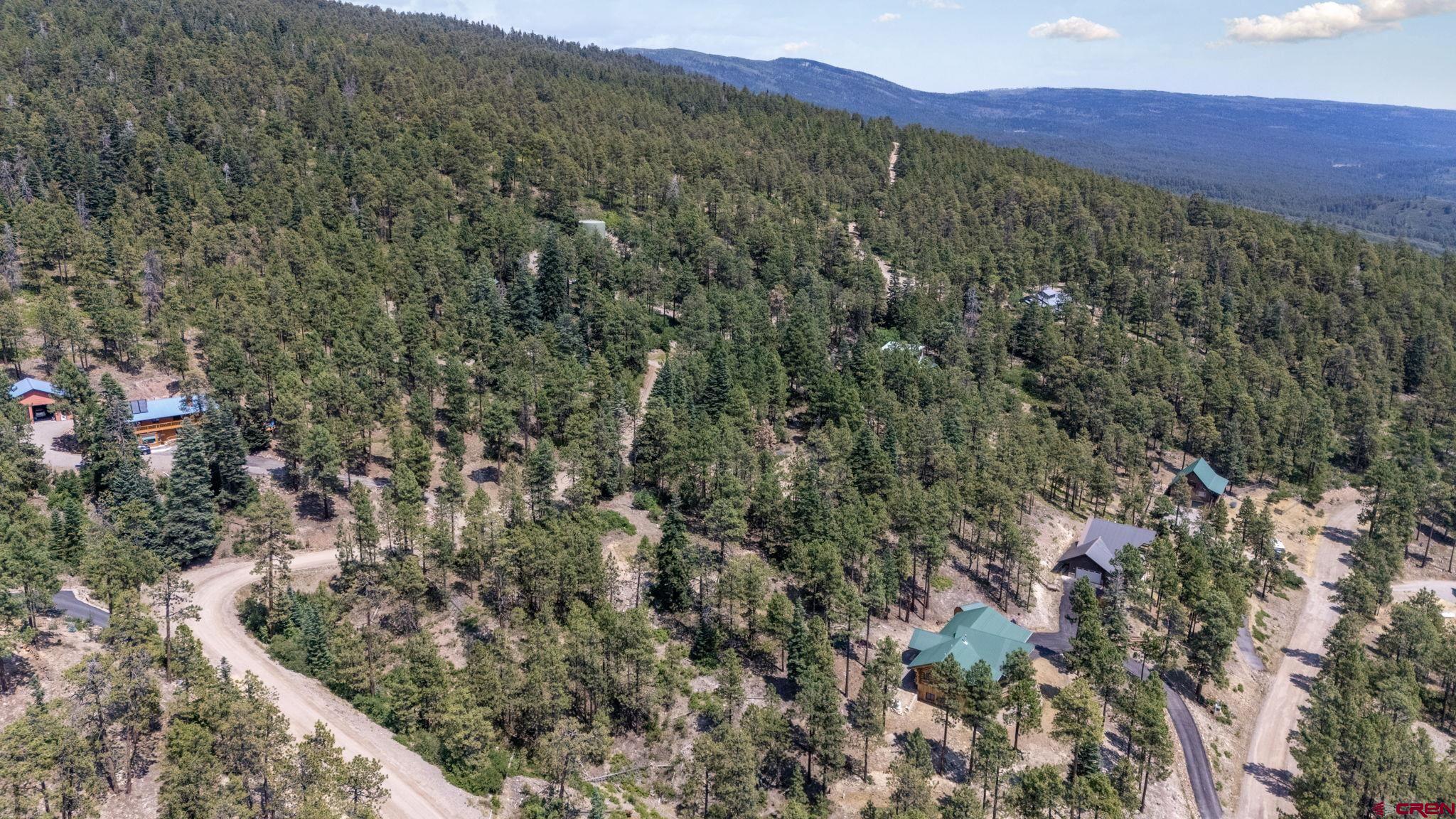 150 Pine Ridge Drive Bayfield, CO 81122 - Photo 10 of 27 a view of a city with lush green forest