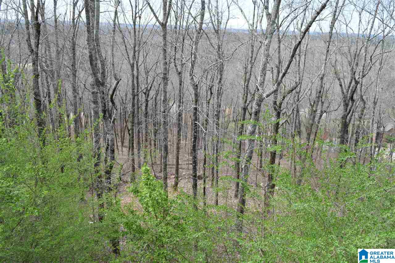 4728 South Shades Crest Road Helena, AL 35022 - Photo 25 of 27