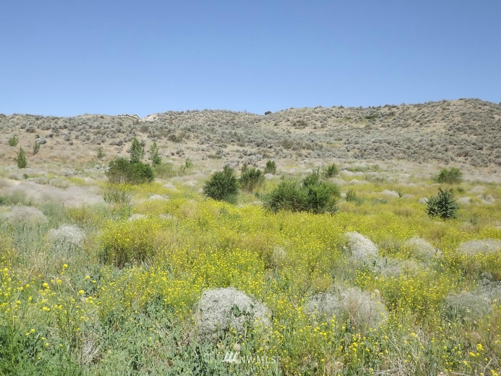 1-tbd Copple Road Omak, WA 98841 - Photo 4 of 6 Gallery Image 4