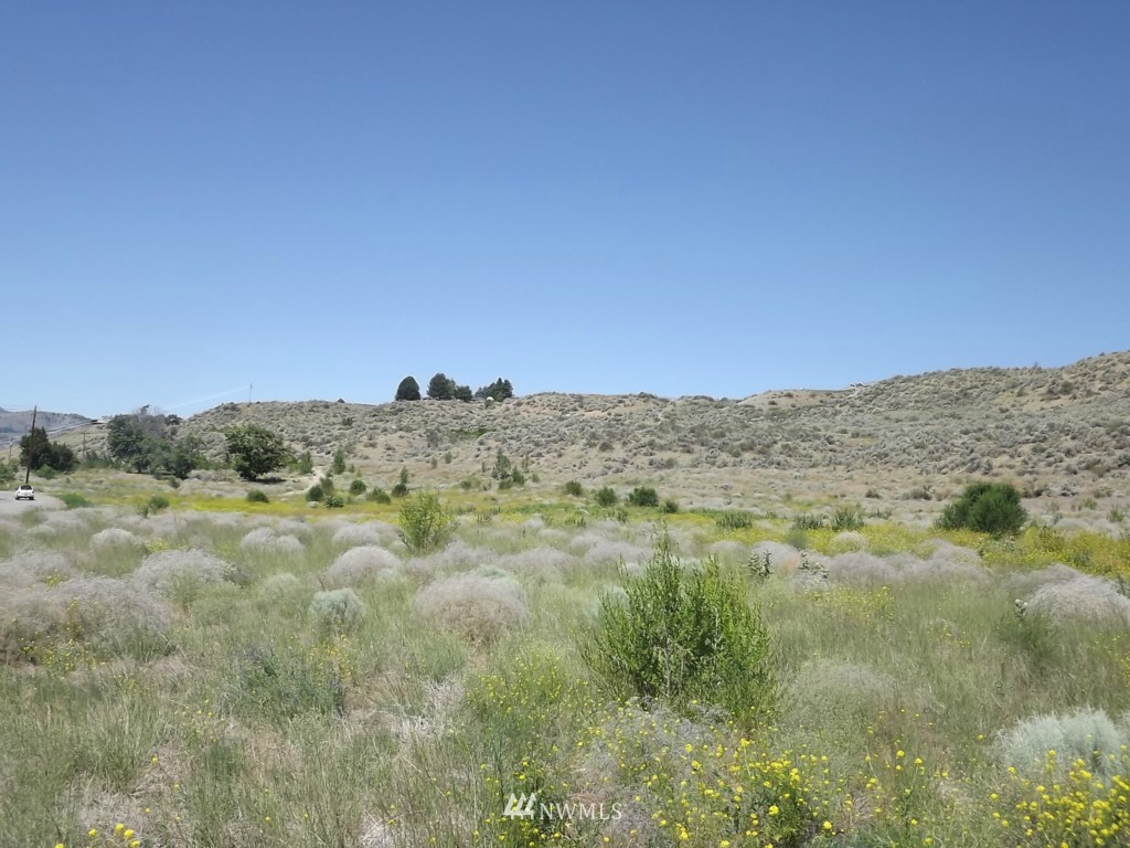 1-tbd Copple Road Omak, WA 98841 - Photo 5 of 6 Gallery Image 5