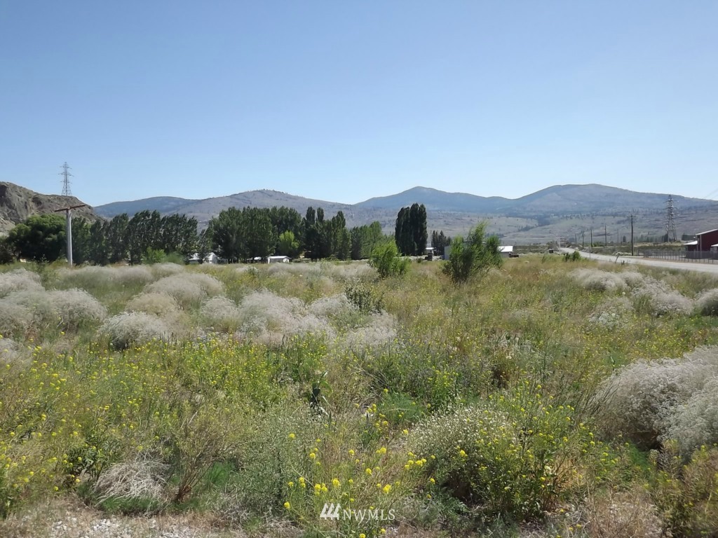 1-tbd Copple Road Omak, WA 98841 - Photo 6 of 6 Gallery Image 6