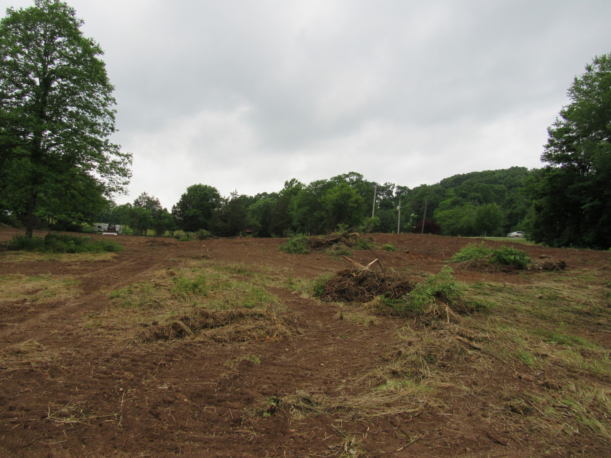 299 Stovall Road Pulaski, TN 38478 - Photo 2 of 15 a view of a field with trees in background