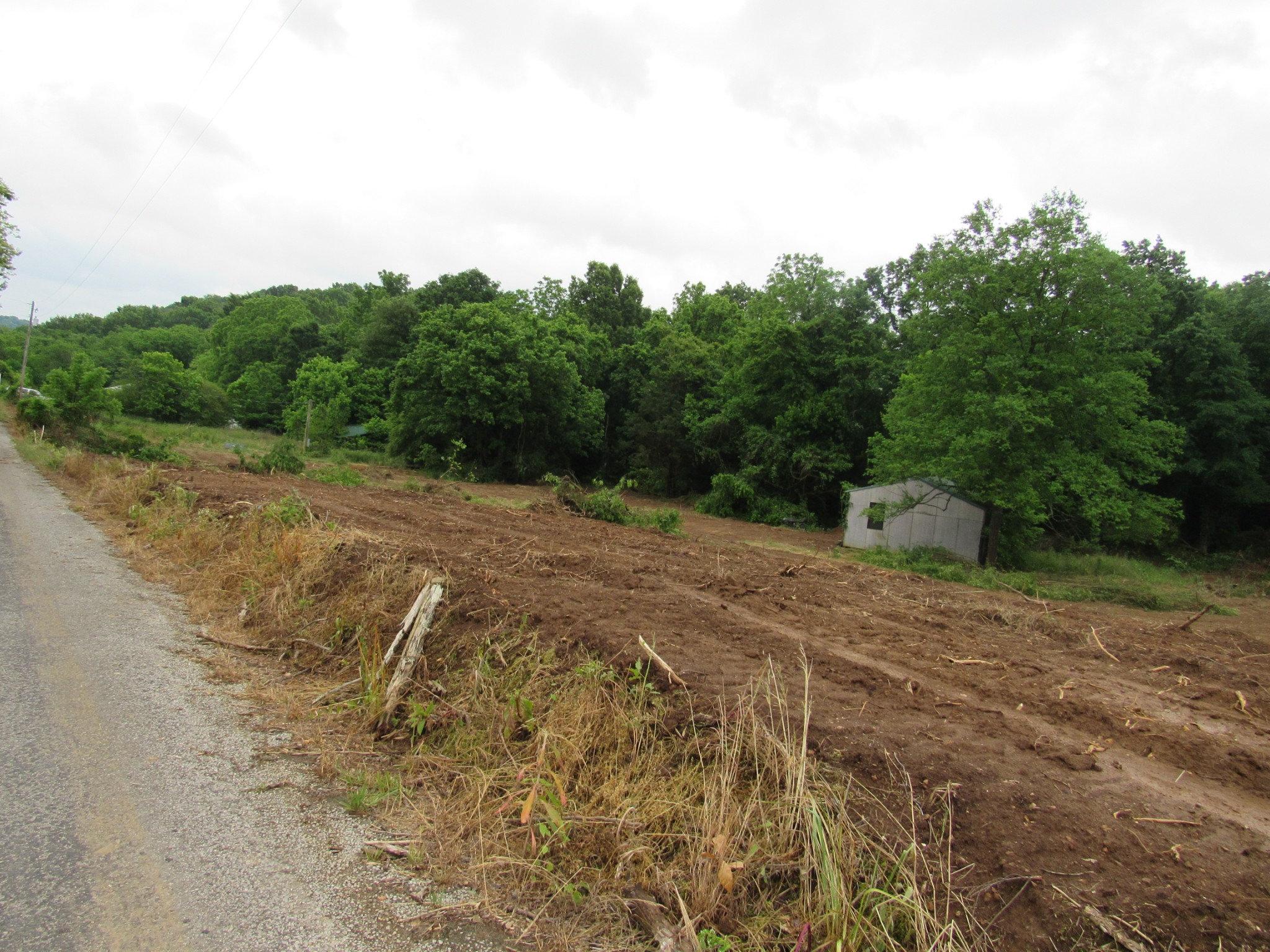 299 Stovall Road Pulaski, TN 38478 - Photo 13 of 15 a view of a dry yard with trees