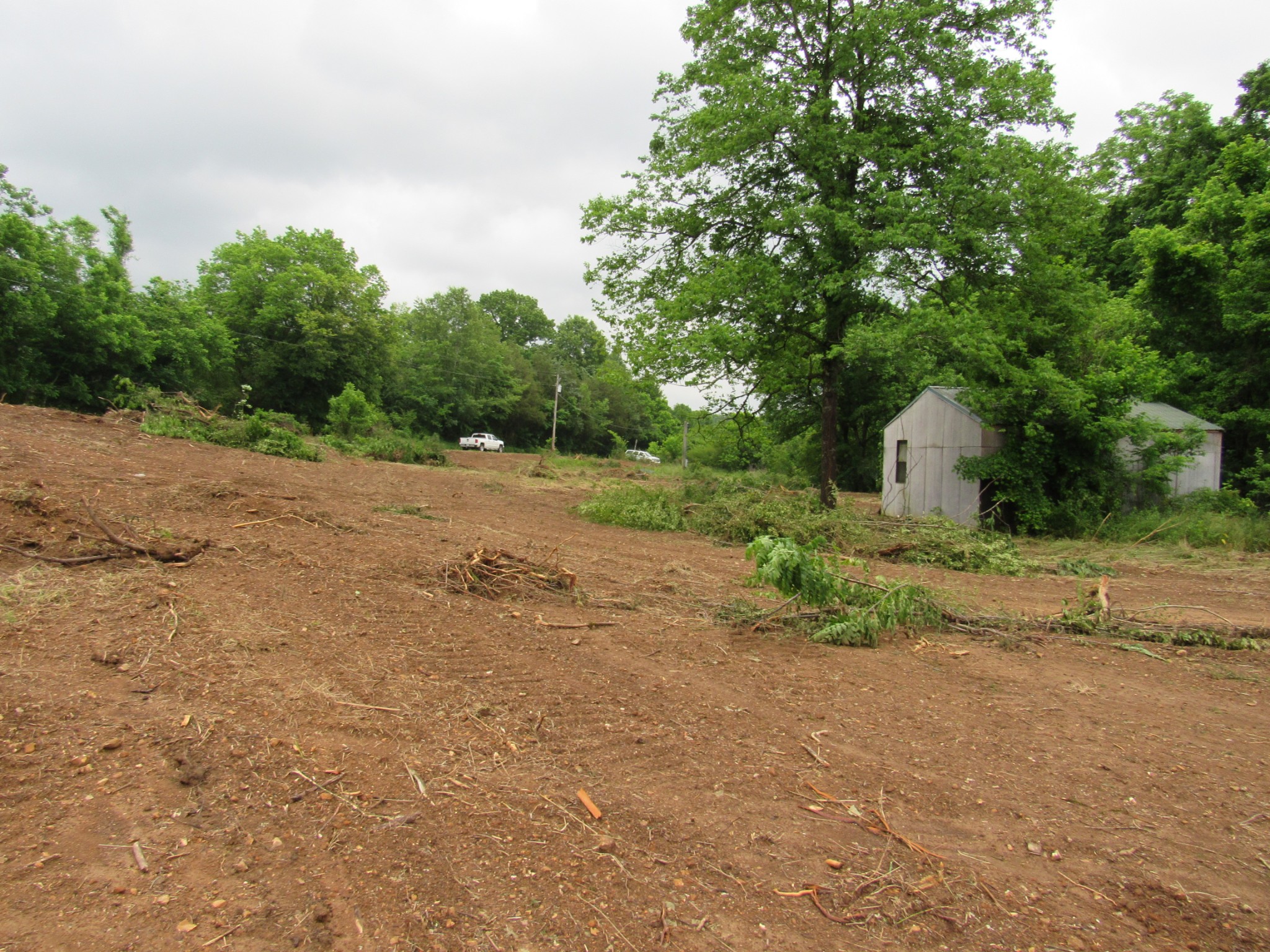 299 Stovall Road Pulaski, TN 38478 - Photo 6 of 15 a view of a out area of the house