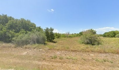 194 West Rustic Oak Lane Rockport, TX 78382 - Photo 1 of 1 a view of a yard with a tree