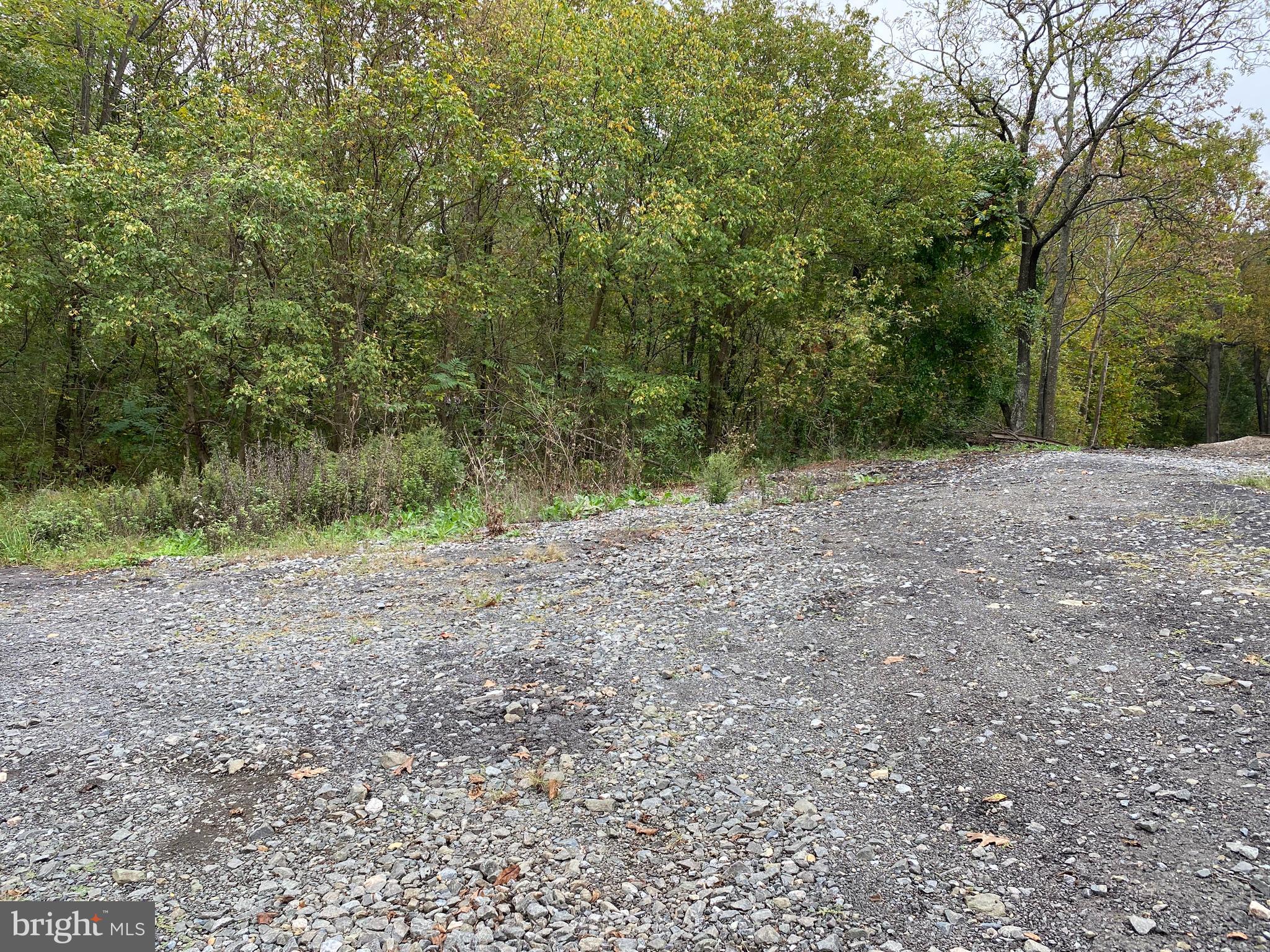 3036 Lost Corner Road Delaplane, VA 20144 - Photo 7 of 14 Gallery Image 7