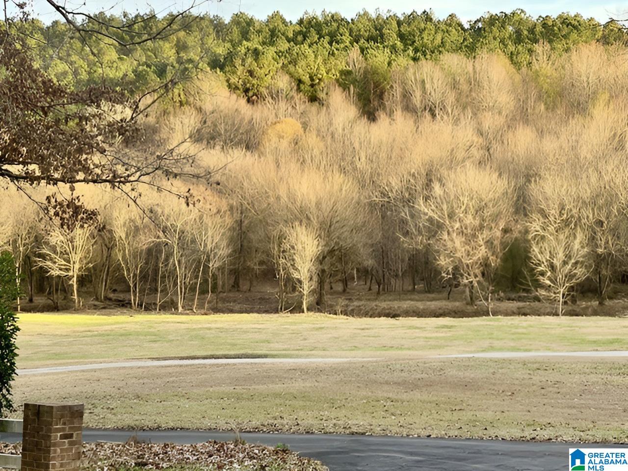 1560 Highway 144 Ragland, AL 35131 - Photo 19 of 21