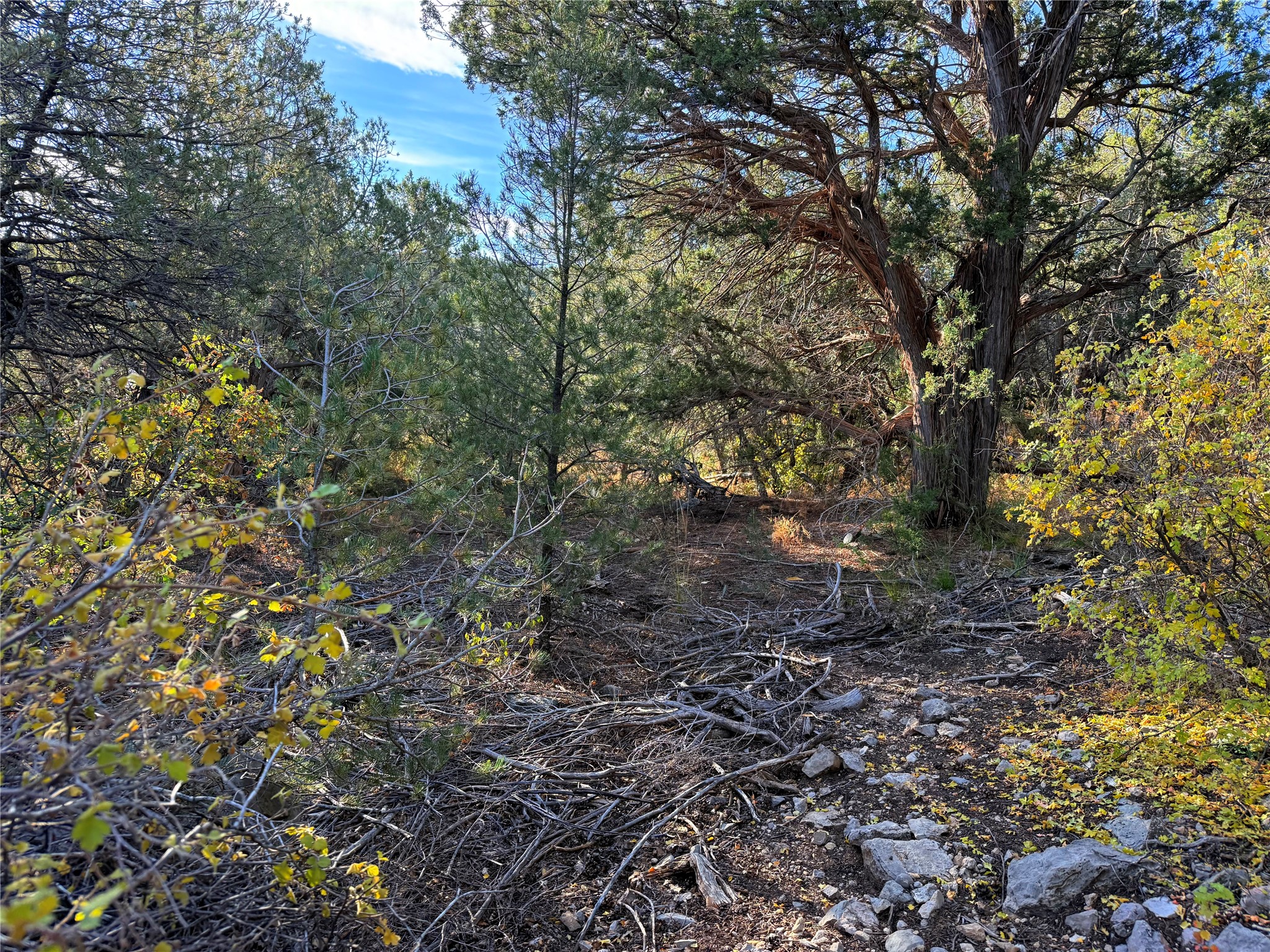 9 Peterson Road Edgewood, NM 87015 - Photo 5 of 9