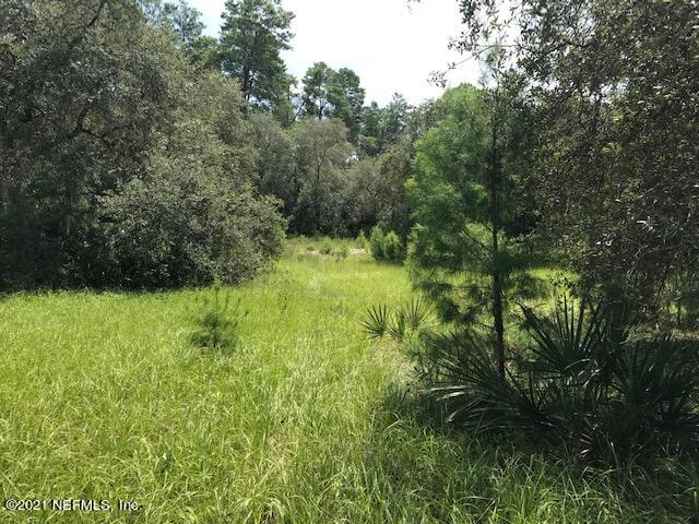 627 Georgetown Denver Road Crescent City, FL 32112 - Photo 12 of 12 THE PASTURE VIEW IMG_8057 (2)