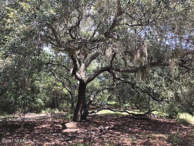 627 Georgetown Denver Road Crescent City, FL 32112 - Photo 2 of 12 THE OAK TREE IMG_8067