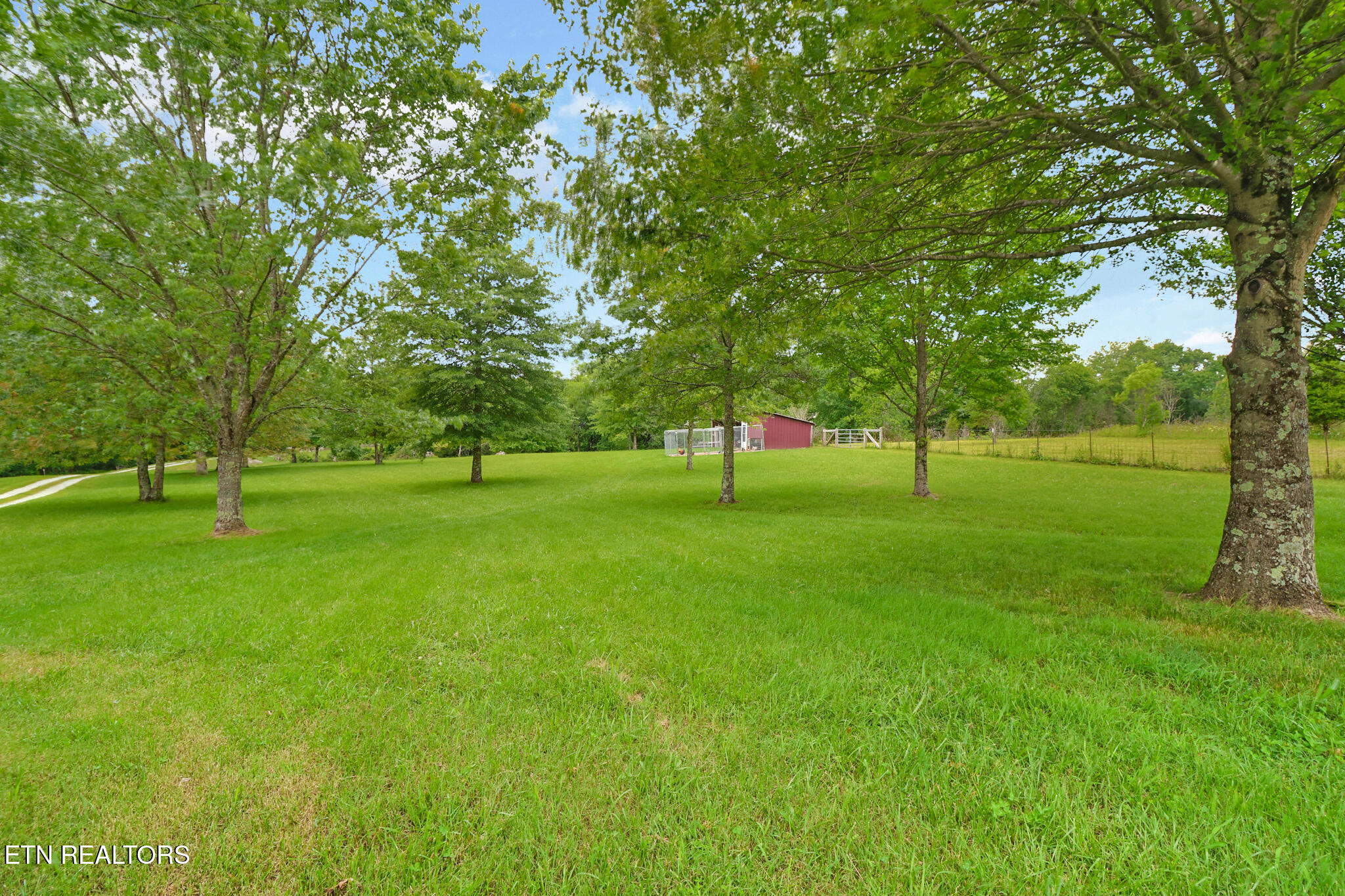 627 Clint Lowe Road Crossville, TN 38572 - Photo 3 of 44 if1a0206-if1a0210