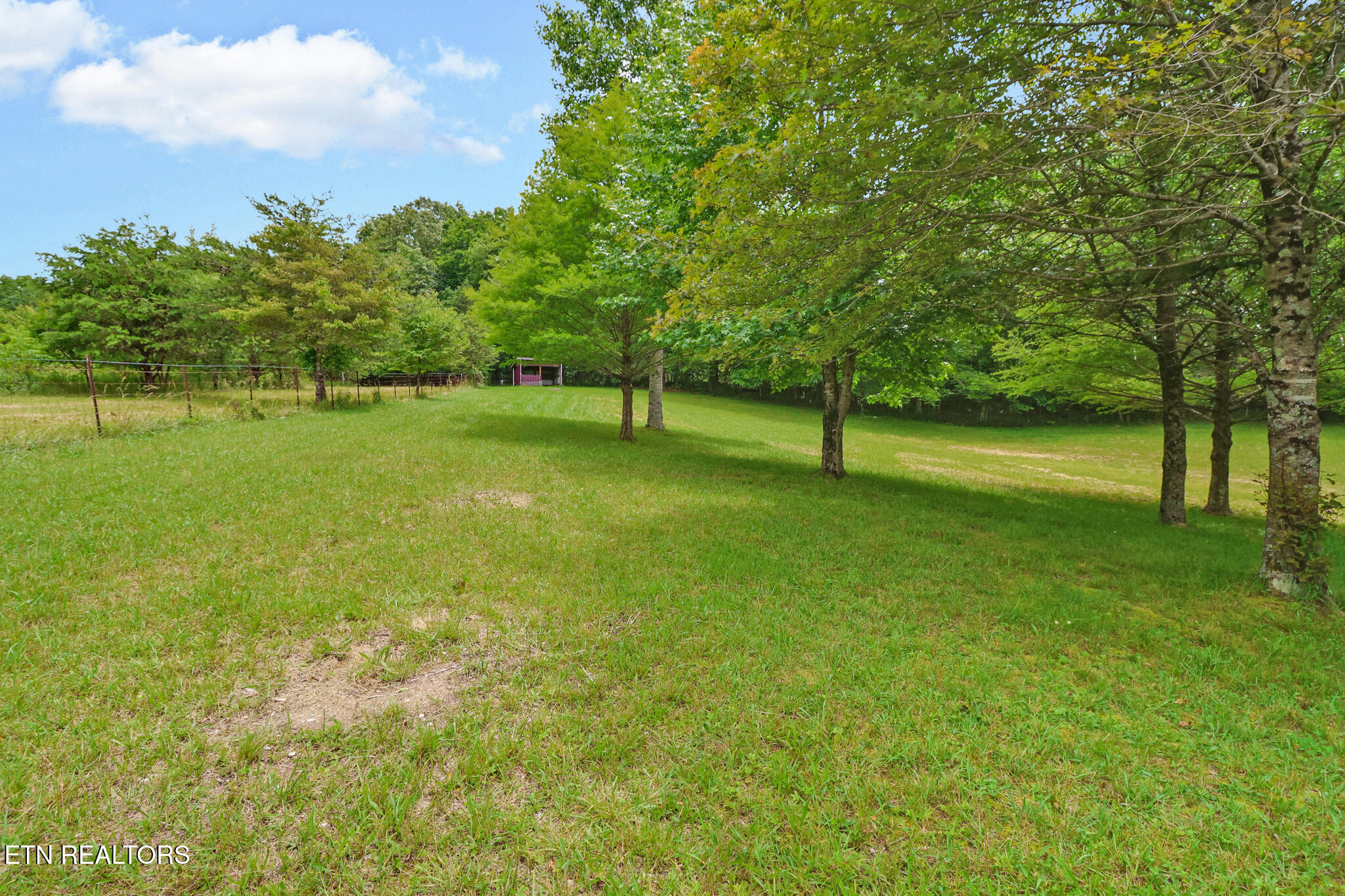 627 Clint Lowe Road Crossville, TN 38572 - Photo 4 of 44 if1a0236-if1a0240
