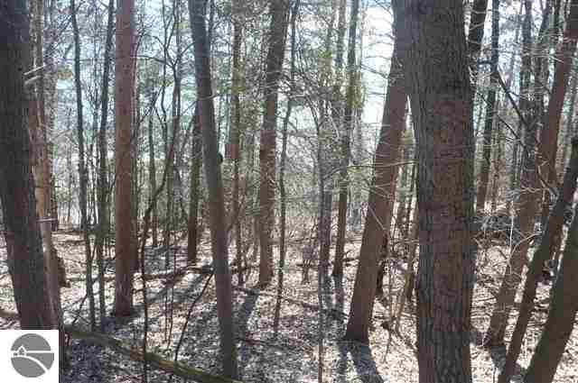 0 Spring Valley Beulah, MI 49617 - Photo 4 of 25
