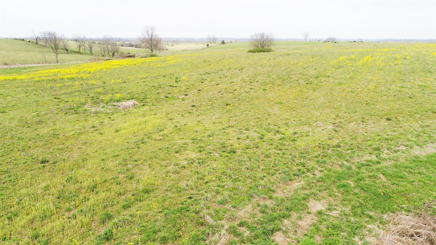 4278 Louisville Road Salvisa, KY 40372 - Photo 11 of 26 Listing Photo