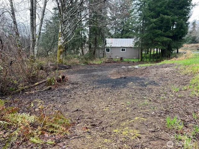 a backyard of a house with a tree