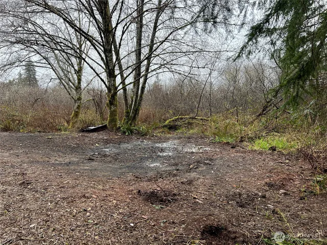 a view of backyard with green space