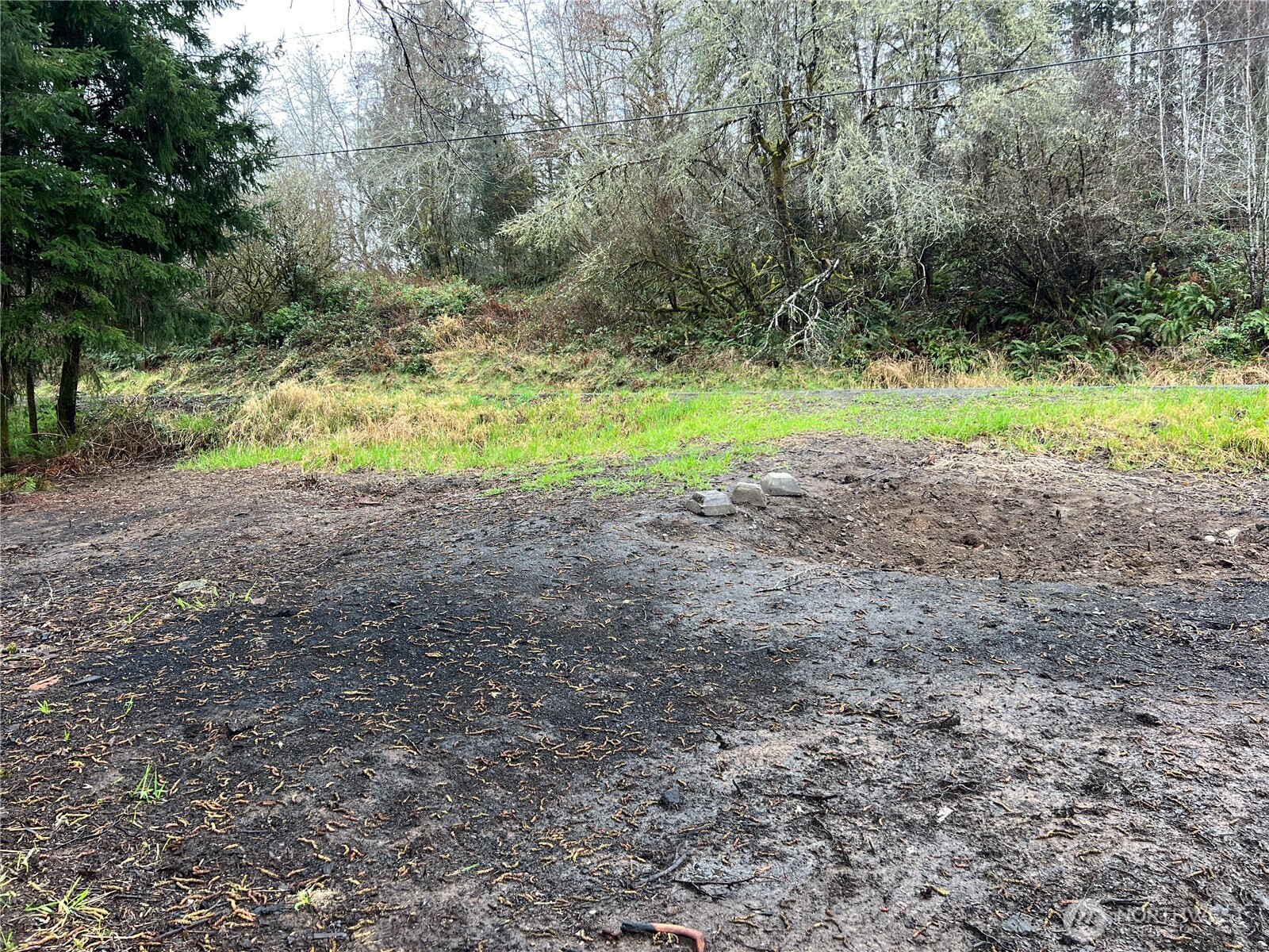 X Willapa Road Raymond, WA 98577 - Photo 8 of 8 a view of a small space with green space