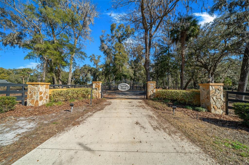 3551 East Highway 329 Anthony, FL 32617 - Photo 5 of 86