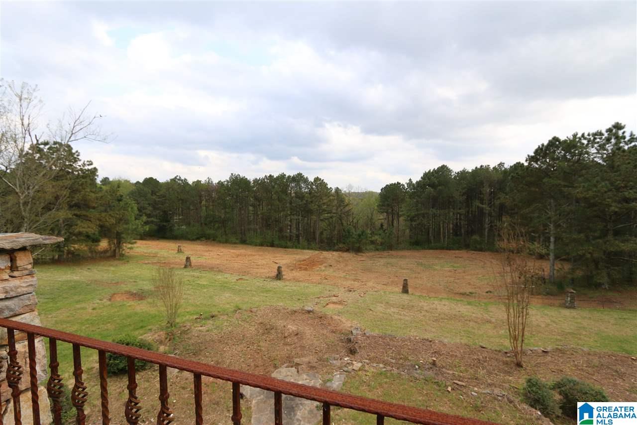 445 Annie Drive Oneonta, AL 35121 - Photo 12 of 40