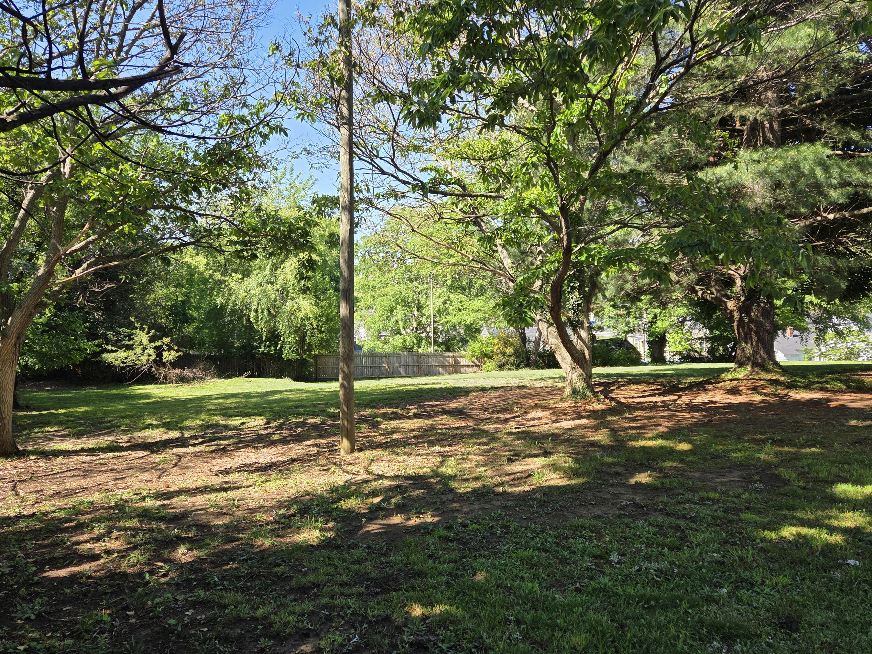 1028 Carson Street Radford, VA 24141 - Photo 24 of 31 carson back yard 2 - Copy