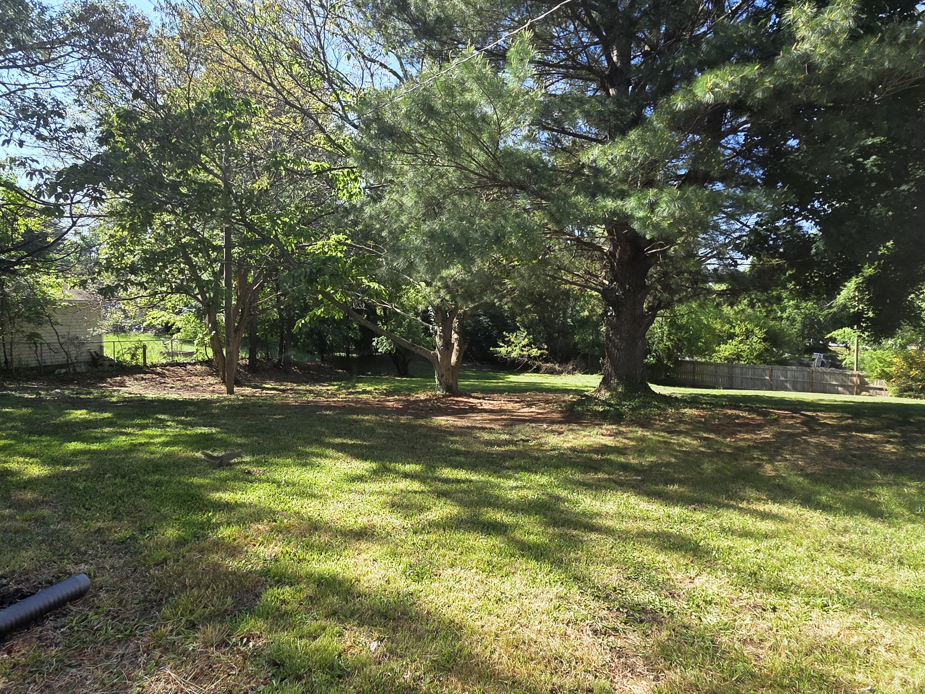 1028 Carson Street Radford, VA 24141 - Photo 27 of 31 carson back yard