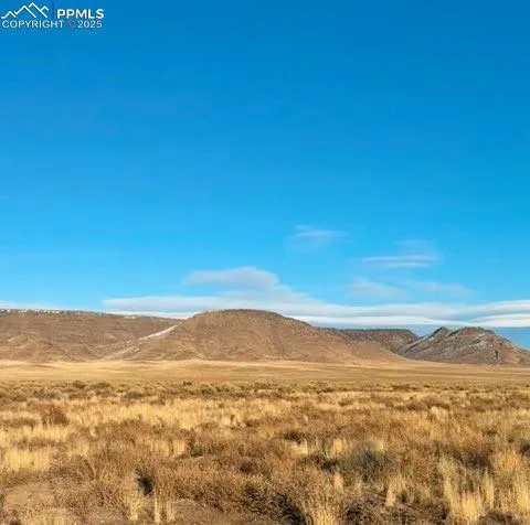 a view of beach and ocean