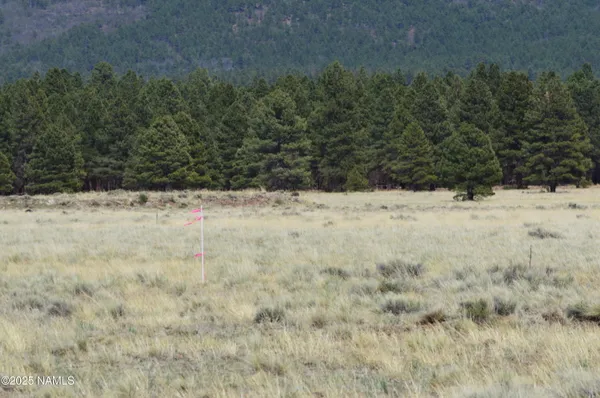 a view of lake and mountain view