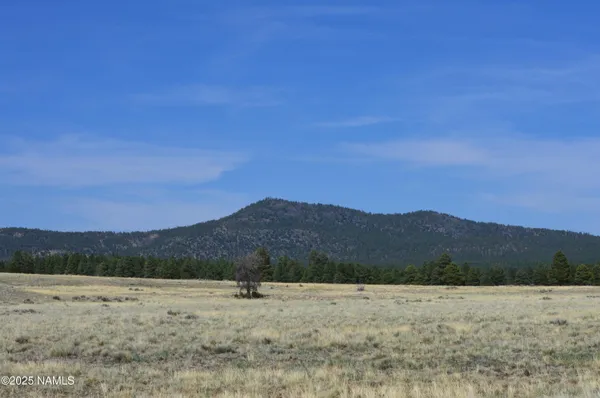 a view of an outdoor space and a mountain view