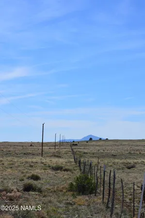 a view of a dry field with trees in the background