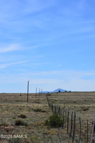 a view of a dry field with trees in the background