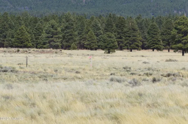 a view of an ocean beach