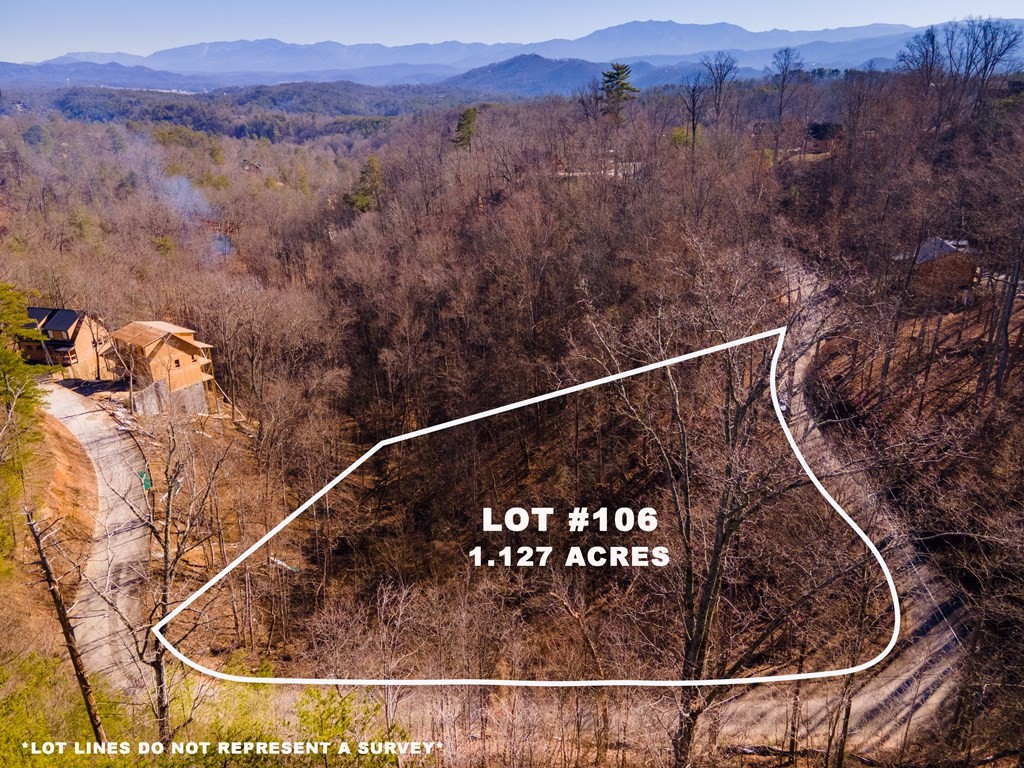 106 Bluff Ridge Road Sevierville, TN 37876 - Photo 2 of 5