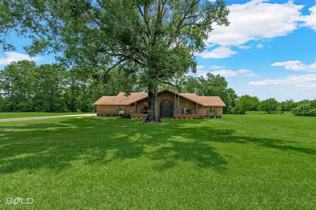 13695 4 Forks Road Keithville, LA 71047 - Photo 4 of 39