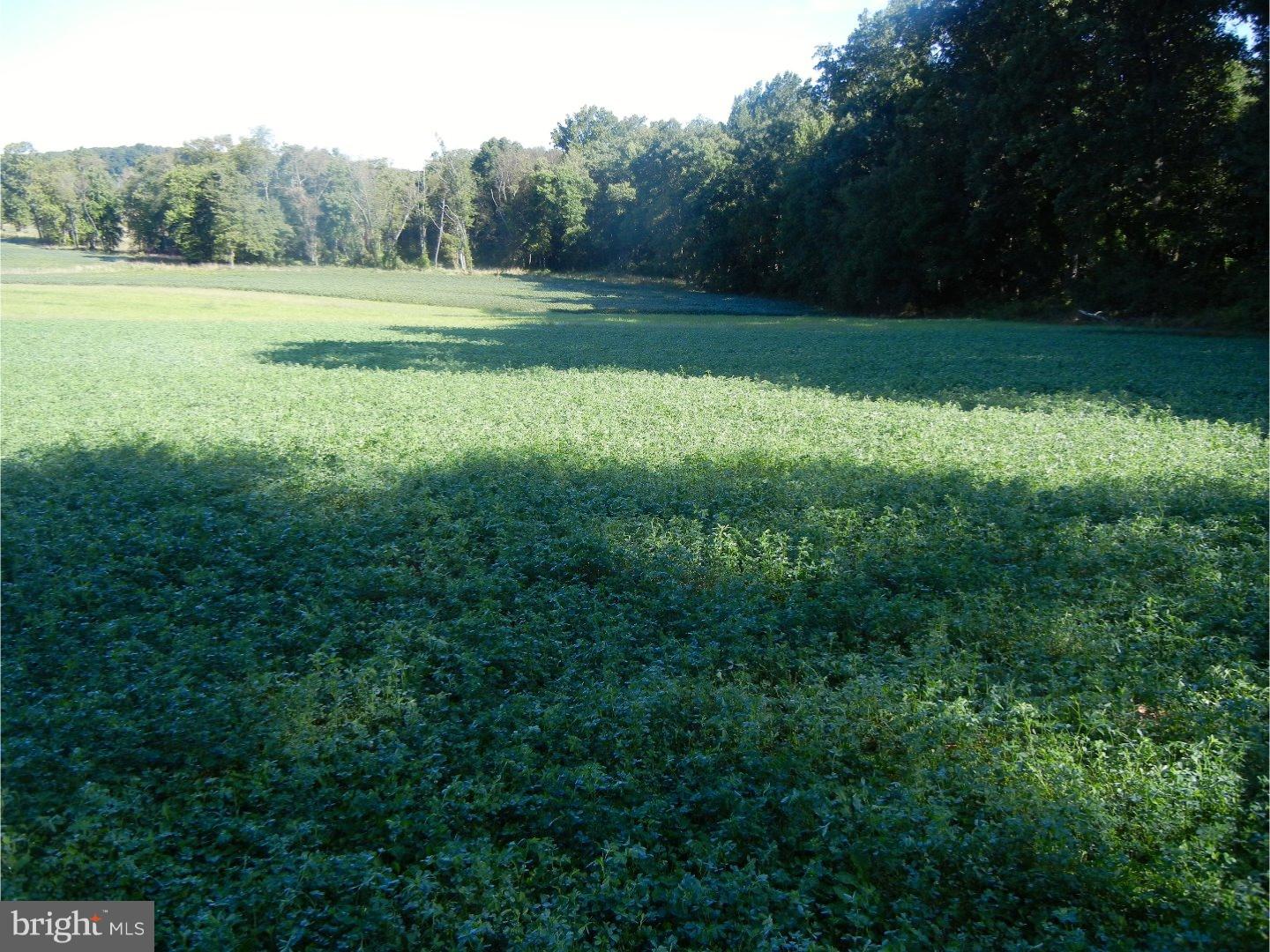 Lot 4 Ewing Road Cochranville, PA 19330 - Photo 1 of 7 Gallery Image 1