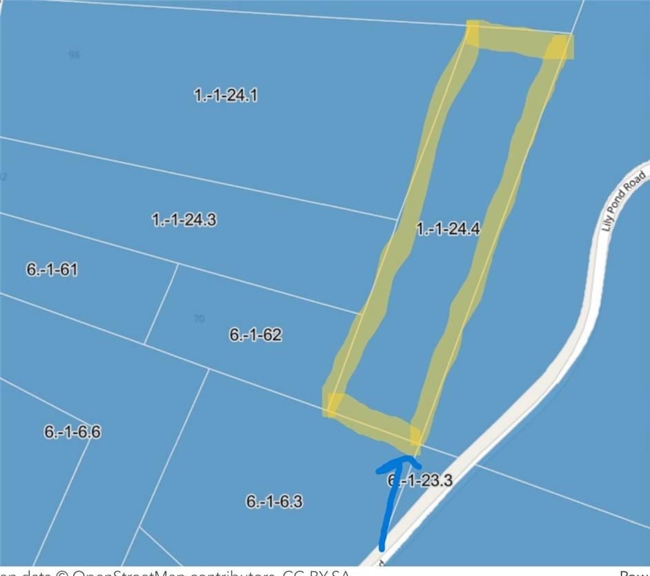 Lily Pond Road Parksville, NY 12768 - Photo 2 of 4