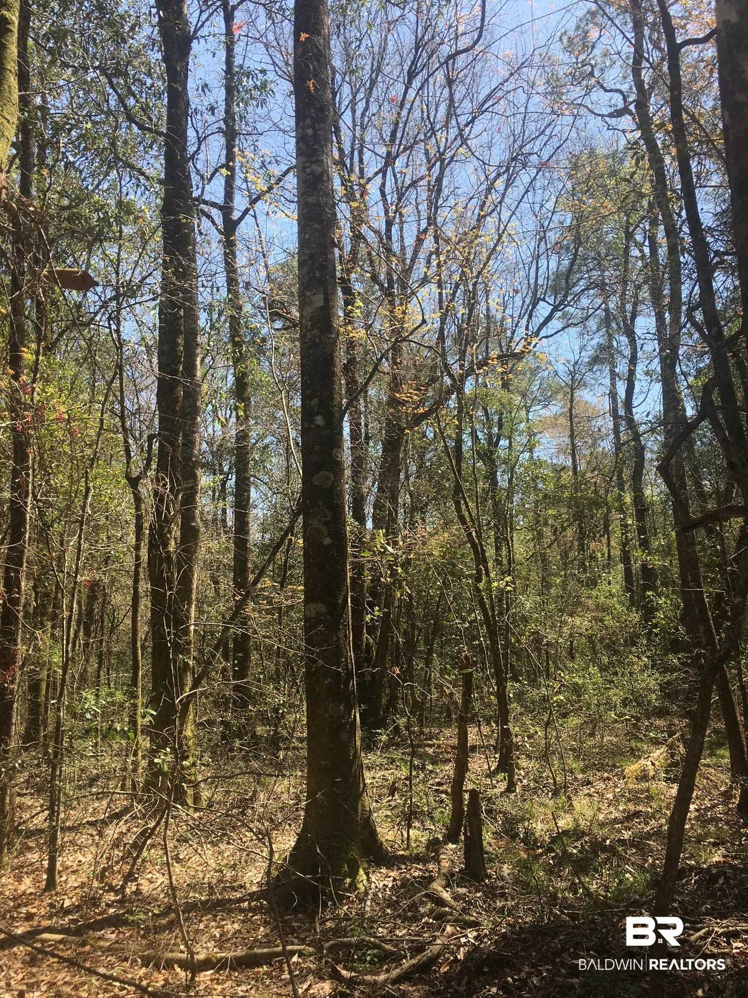 0 Foshee Road Brewton, AL 36426 - Photo 20 of 32