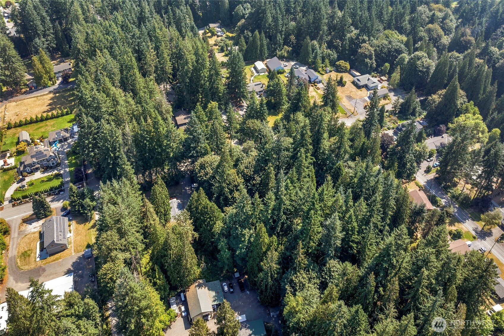 22222 49th Avenue Southeast Bothell, WA 98021 - Photo 33 of 37 a view of a house with a tree