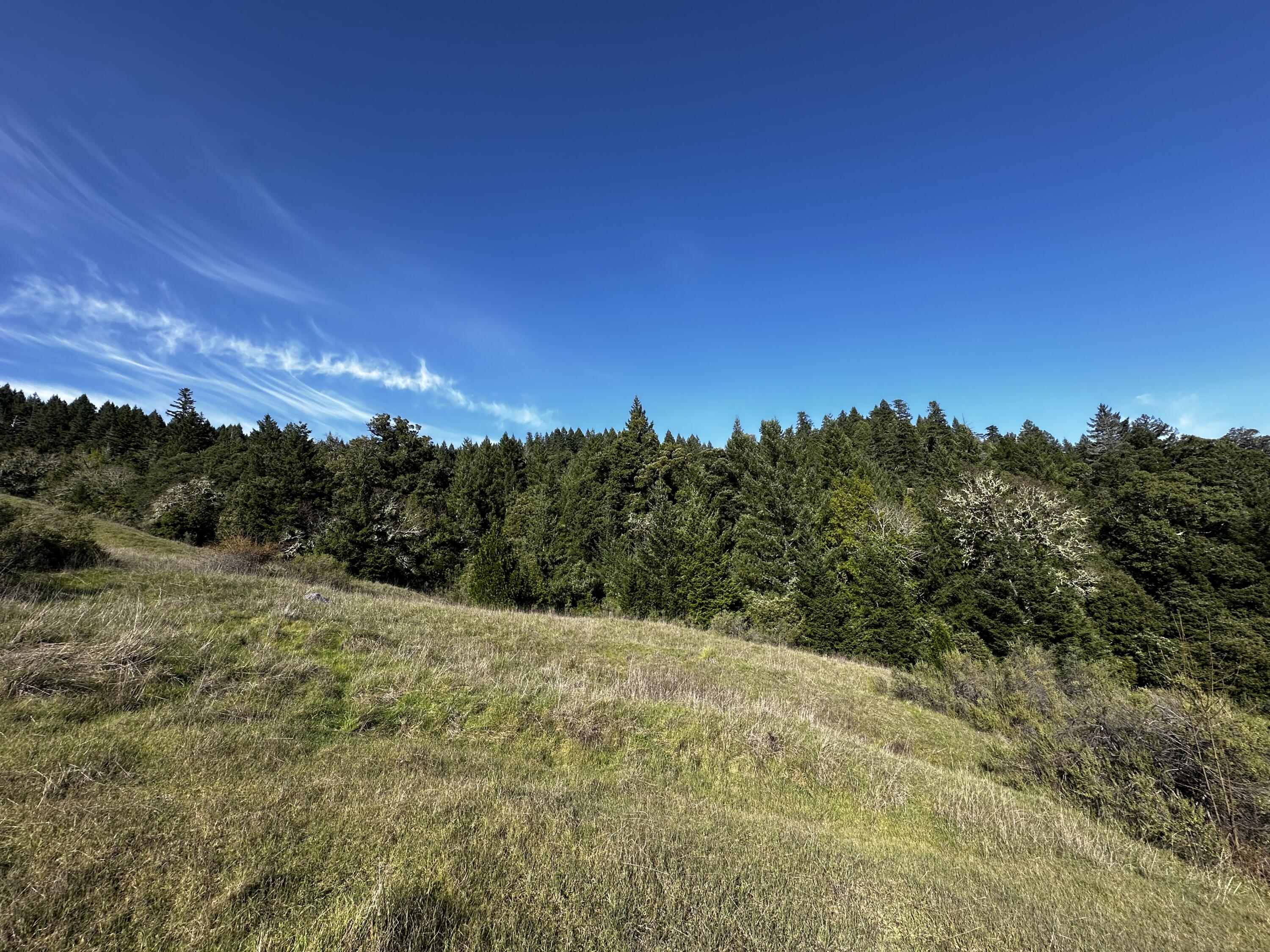 4300 Thomas Road Miranda, CA 95553 - Photo 50 of 59 a view of an outdoor space with mountain view