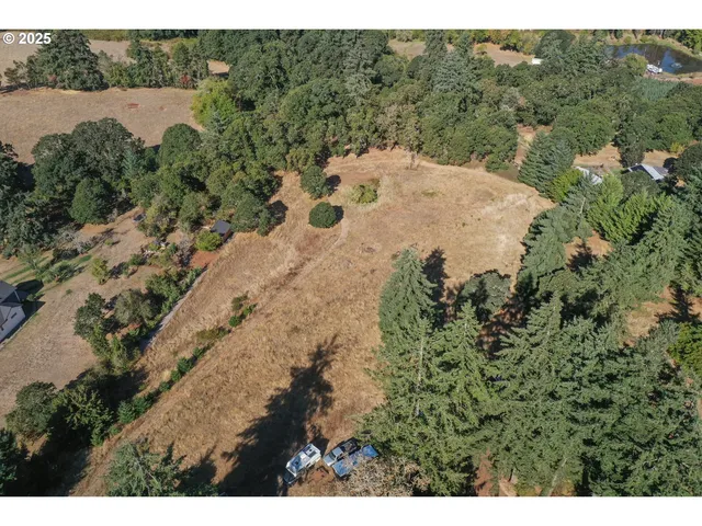a view of a dry yard with trees