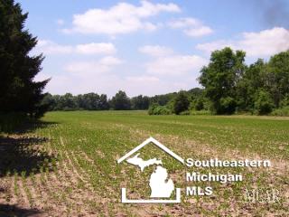 11307 Strasburg Road Erie, MI 48133 - Photo 17 of 20 Barn