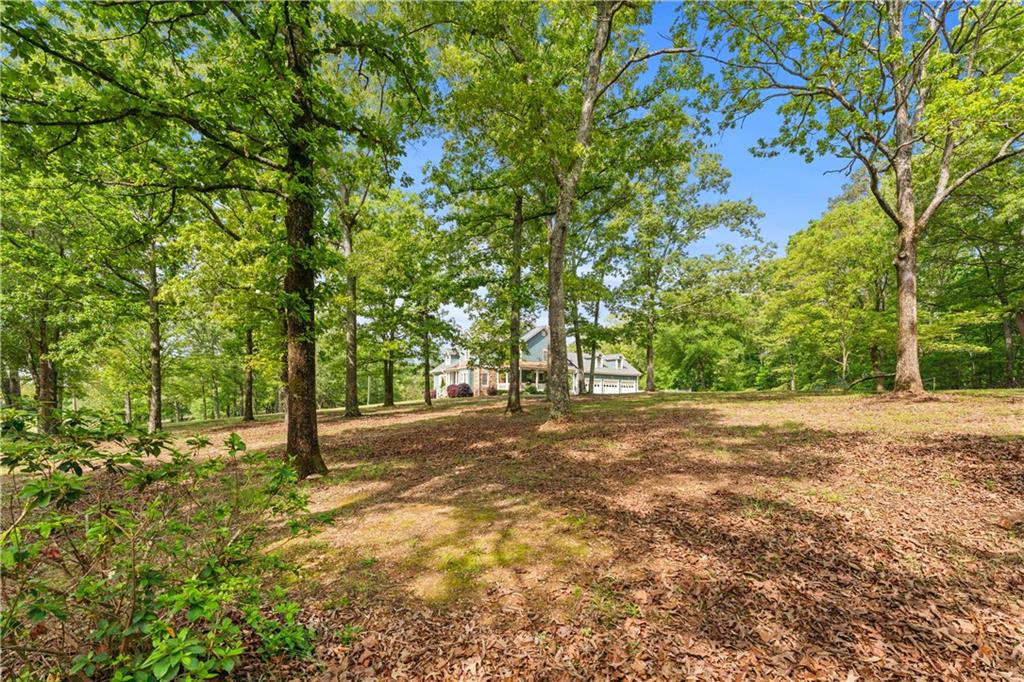 65 Maude White Road Kingston, GA 30145 - Photo 73 of 99
