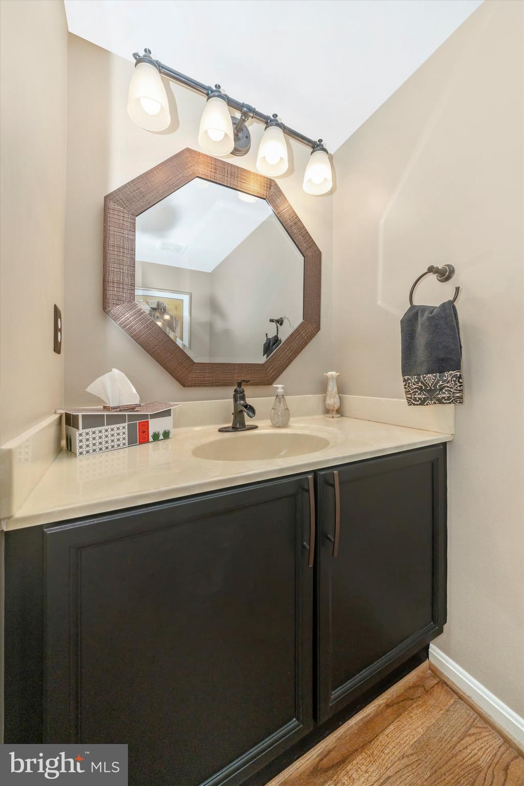 8321 Jordan Valley Way Frederick, MD 21702 - Photo 27 of 75 a bathroom with a sink and a mirror