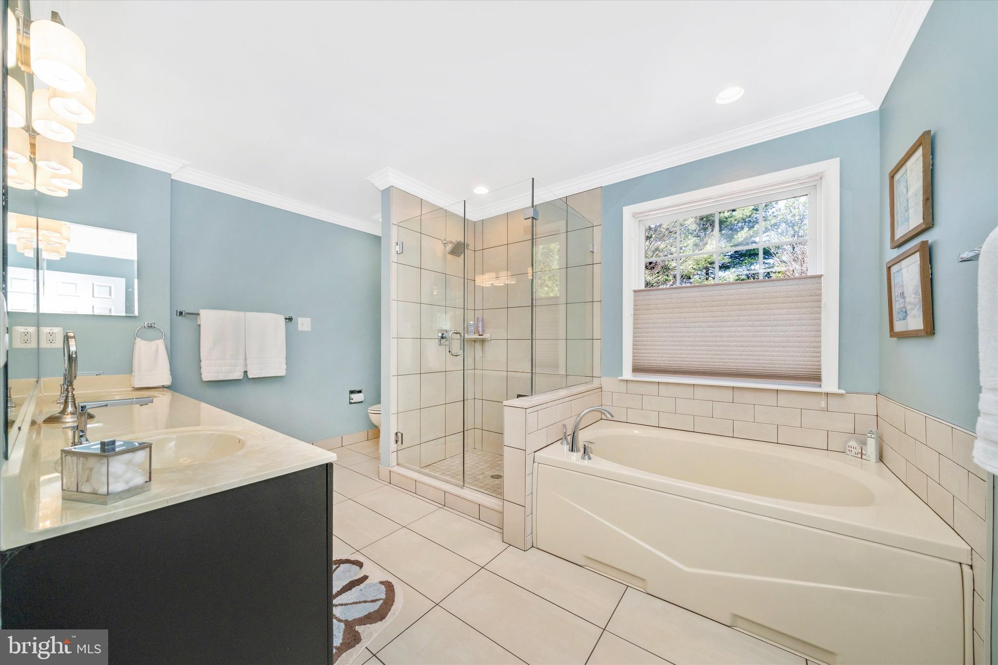 8321 Jordan Valley Way Frederick, MD 21702 - Photo 31 of 75 a spacious bathroom with a bathtub a sink and a shower
