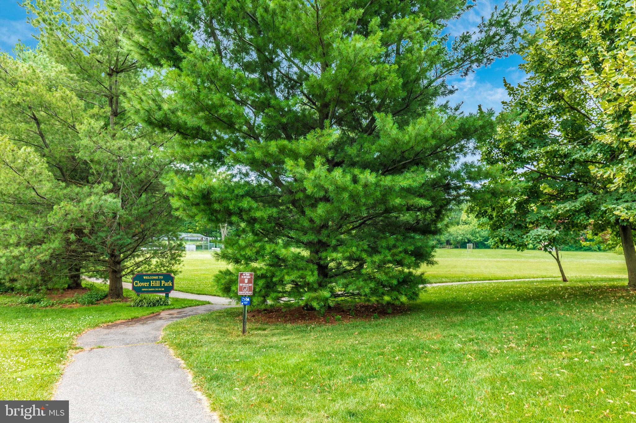 8321 Jordan Valley Way Frederick, MD 21702 - Photo 66 of 75 a view of yard with grass and trees
