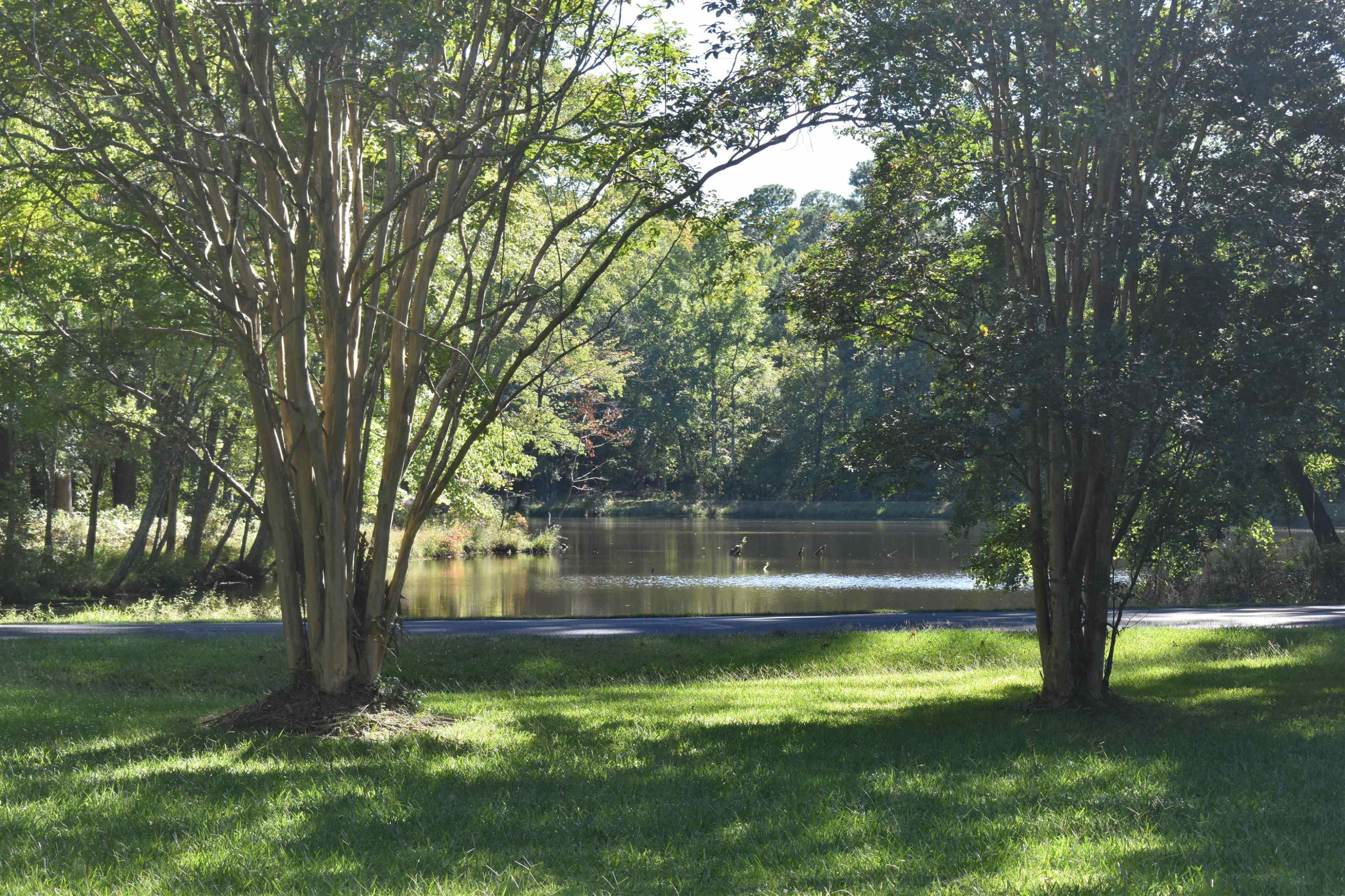 4001 Blackard Pond Road Raleigh, NC 27604 - Photo 3 of 8 Photo 3