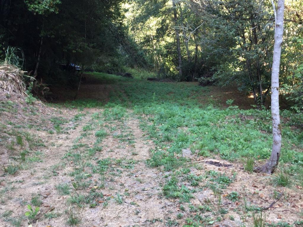 0 Puddin Lane Hydesville, CA 95547 - Photo 14 of 15