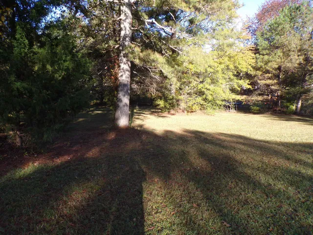 a view of a yard with a tree